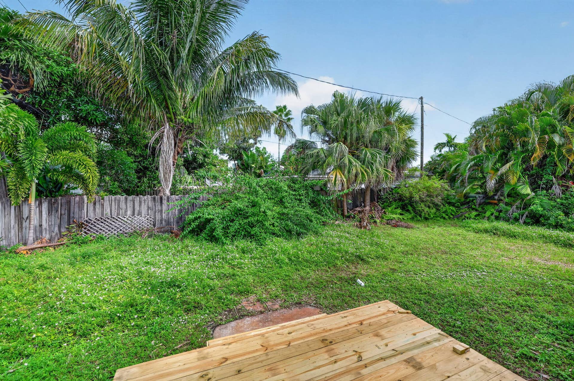 1313 NE 13TH Street, Fort Lauderdale, FL 33304 23-web-or-mls-8I8A5435