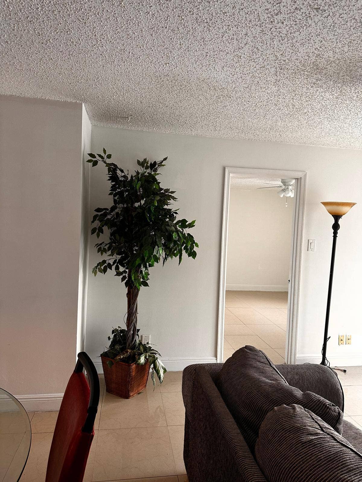2423 NW 83rd Drive, #Unit 113, Coral Springs, FL 33071 PHOTO-2026-06-01-17-25-05 (7)