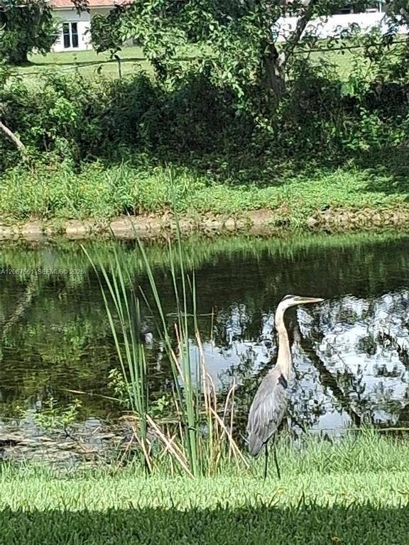 6770 Royal Palm Boulevard, #305L, Margate, FL 33063 canal