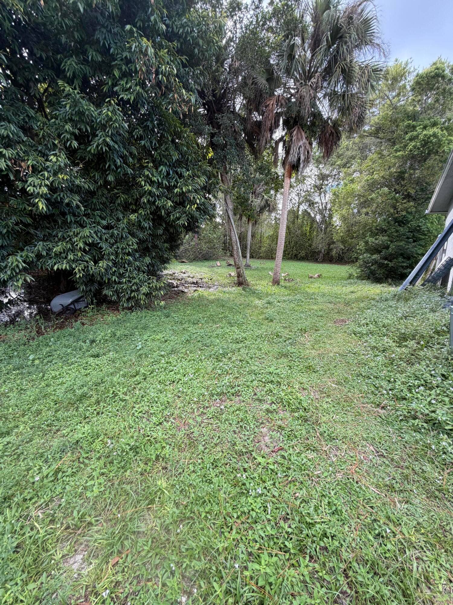 13310 N 40TH Lane N, The Acreage, FL 33411 IMG_2844-preview