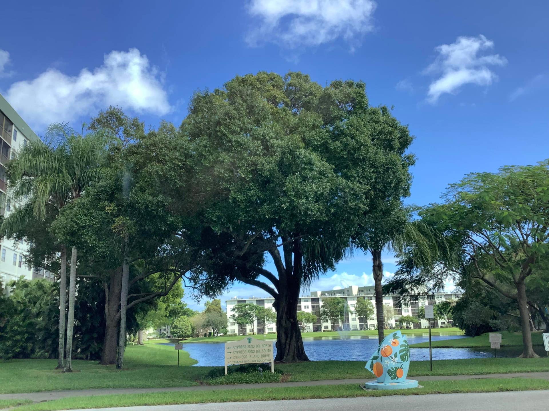 2228 N CYPRESS BEND Drive, #307, Pompano Beach, FL 33069 IMG_5993