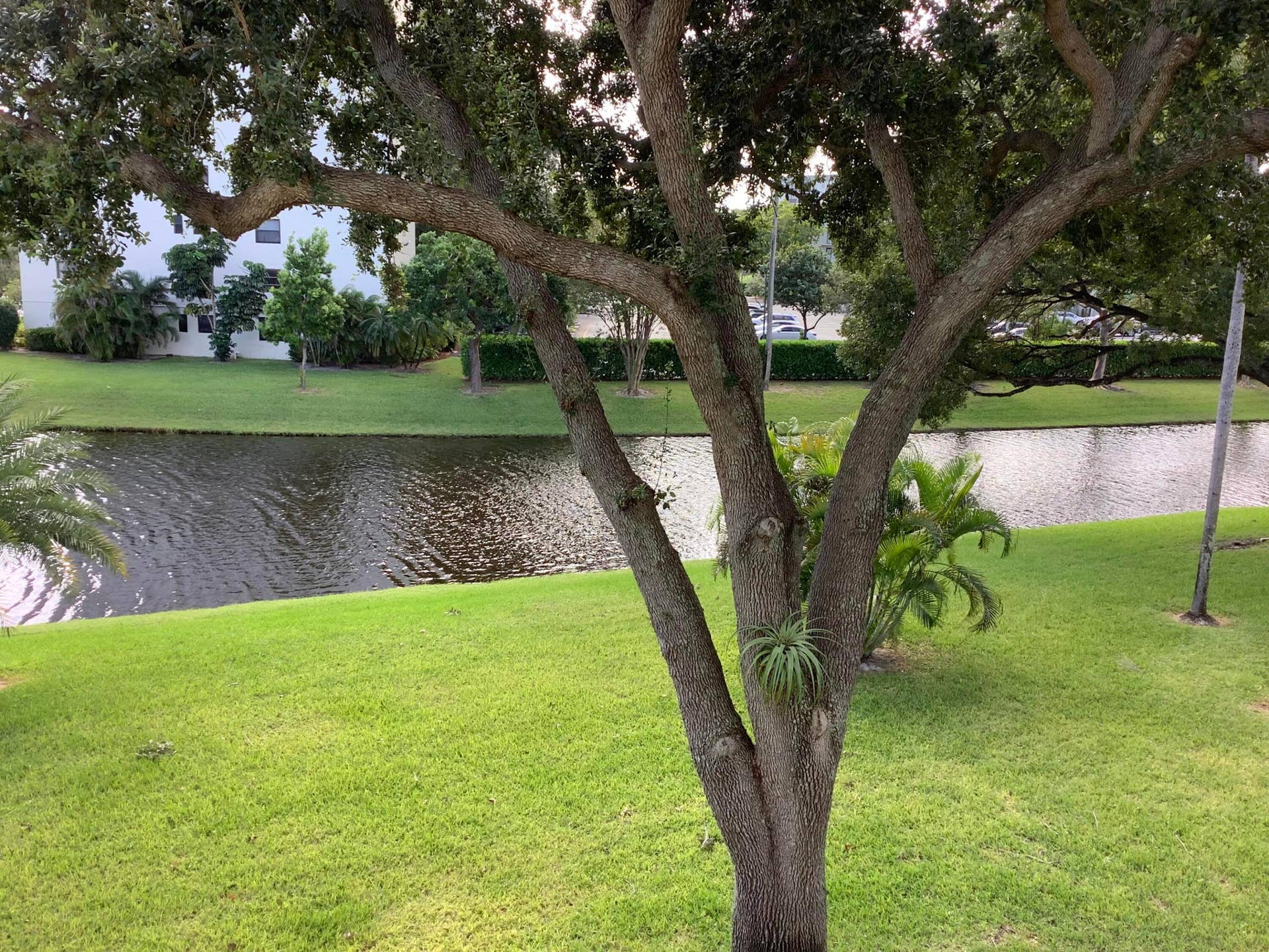 2228 N CYPRESS BEND Drive, #307, Pompano Beach, FL 33069 IMG_6001