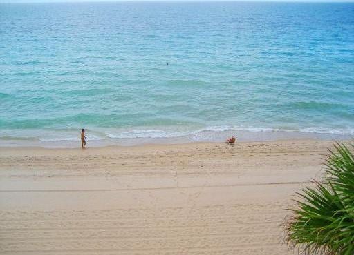 4040 Galt Ocean Drive, #335, Fort Lauderdale, FL 33308 4040 Galt Ocean Drive, #335, Fort Lauderdale, FL 33308