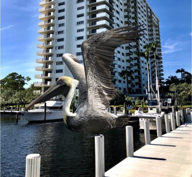 Property photo for 3200 Port Royale Drive, #1105, Fort Lauderdale, FL