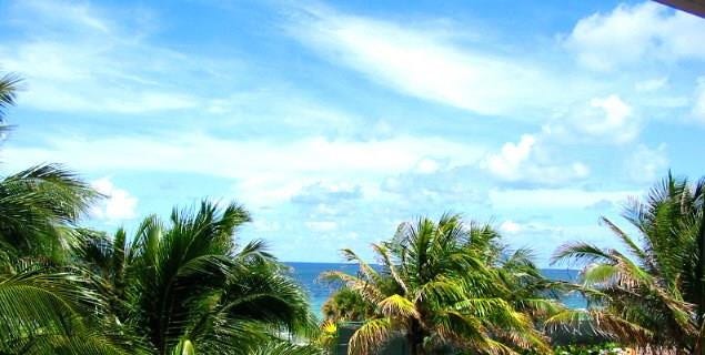 4040 Galt Ocean Drive, #203, Fort Lauderdale, FL 33308 4040 Galt Ocean Drive, #203, Fort Lauderdale, FL 33308