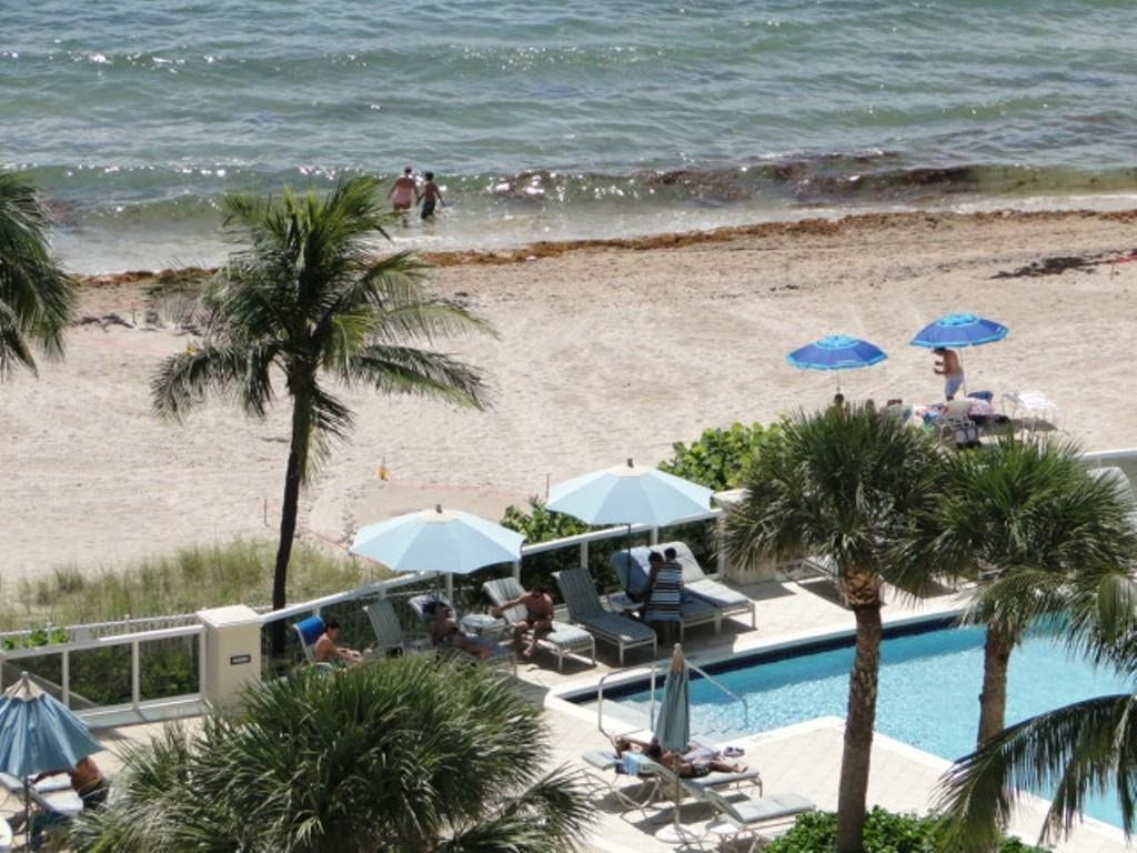 4250 Galt Ocean Drive, #11D, Fort Lauderdale, FL 33308