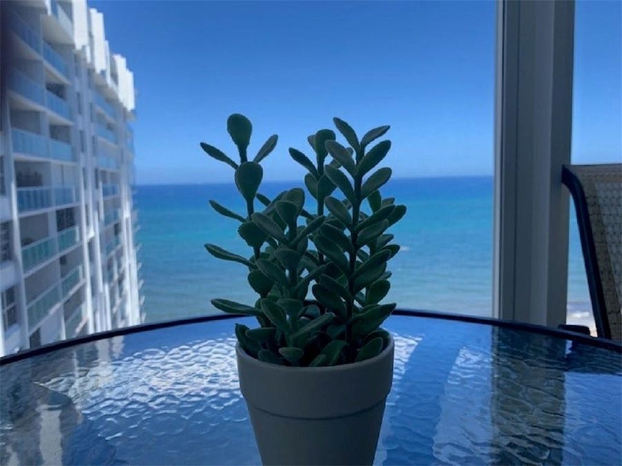 Property photo for 4300 N Ocean Boulevard, #17F, Fort Lauderdale, FL