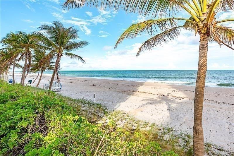 Our beach, facing north.