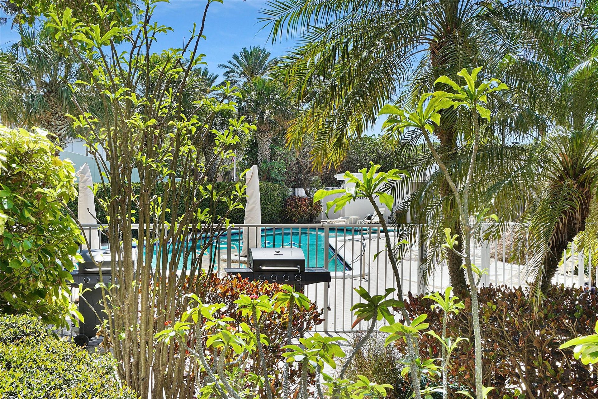 1530 S Ocean Boulevard, #203, Lauderdale By The Sea, FL 33062 There are barbeque grills near the pool.