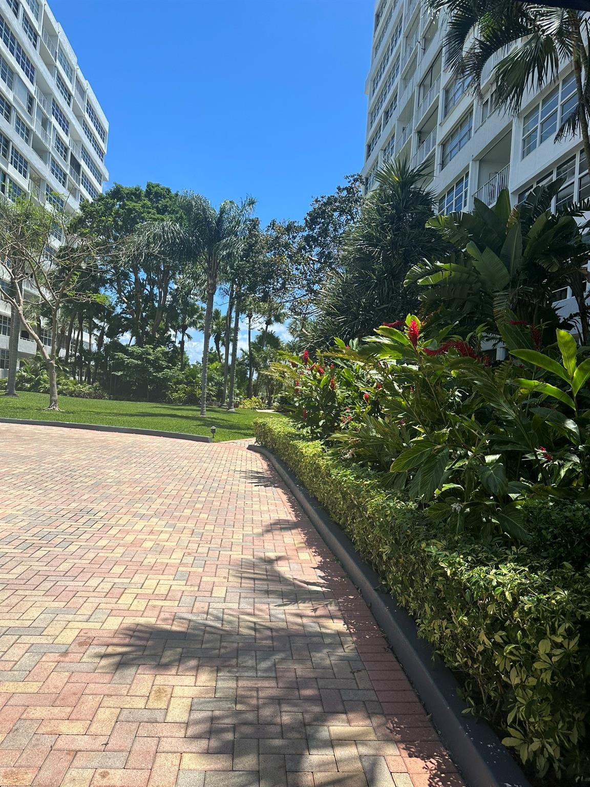 1160 N Federal Highway, #415, Fort Lauderdale, FL 33304 Photo 24