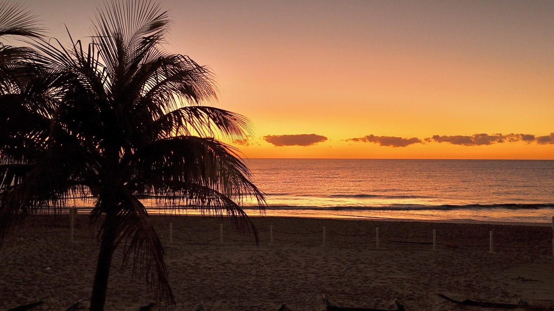 4020 Galt Ocean Drive, #802, Fort Lauderdale, FL 33308 Enjoy Sunrise on your Deeded Beach