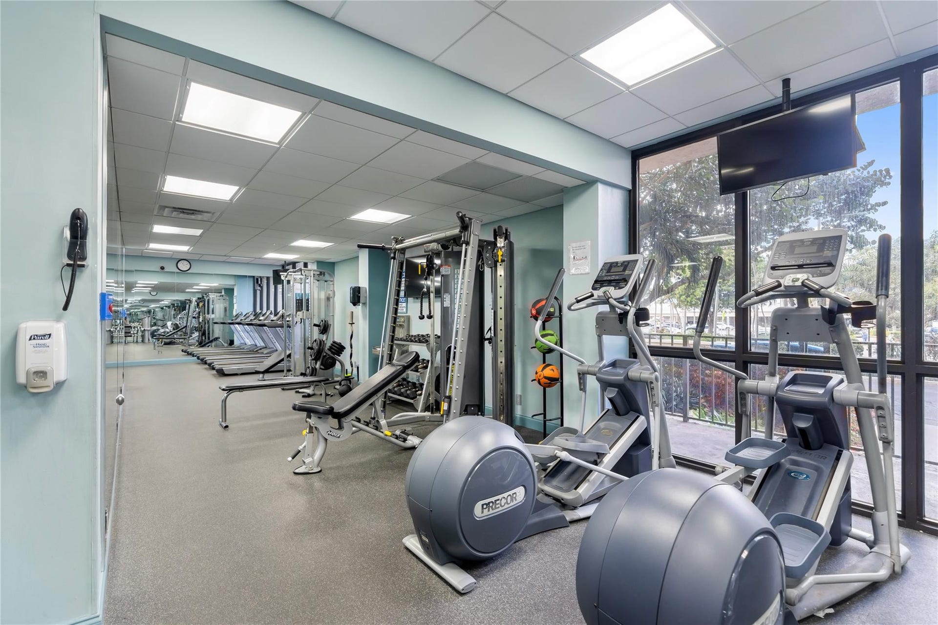 Gym