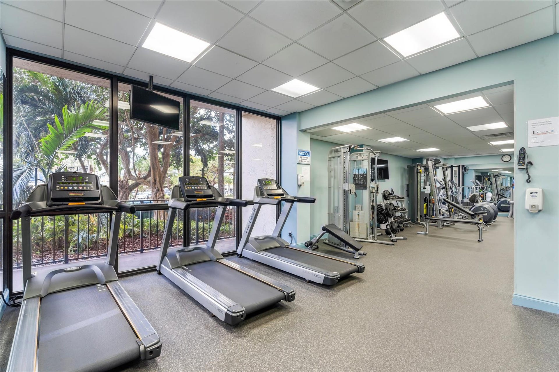 Gym