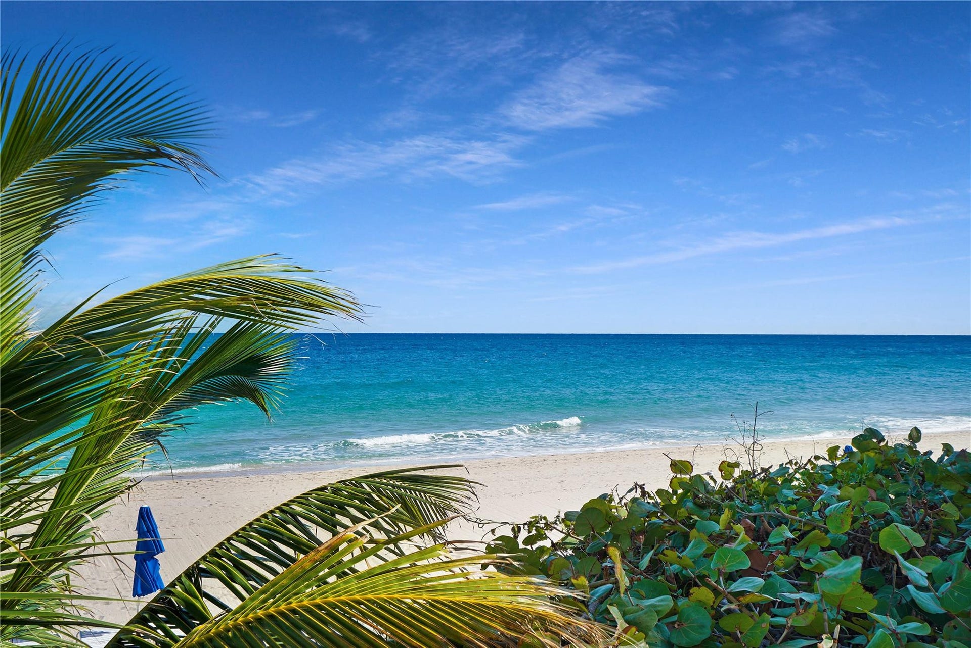 3900 Galt Ocean Drive, #407, Fort Lauderdale, Fort Lauderdale, FL 33308 Photo 68