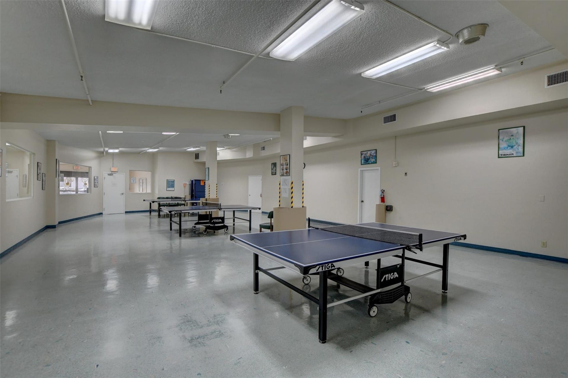 Ping pong room