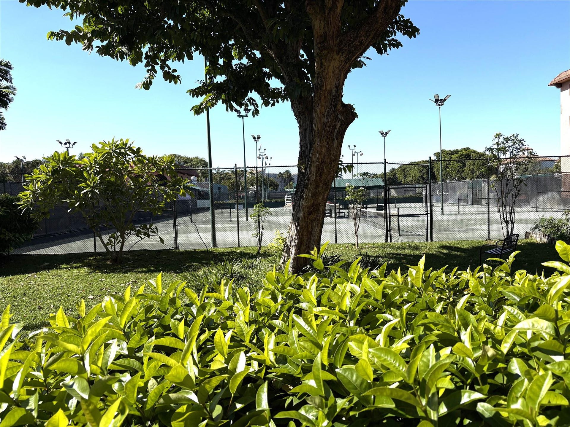 620 Tennis Club Drive, #105, Fort Lauderdale, FL 33311 View from Patio