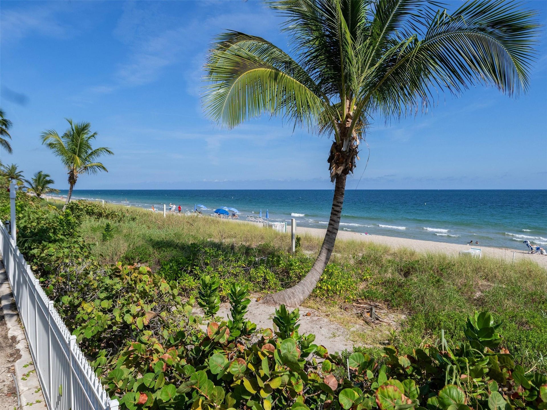 3200 N Ocean Boulevard, #2505, Fort Lauderdale, FL 33308 Grounds