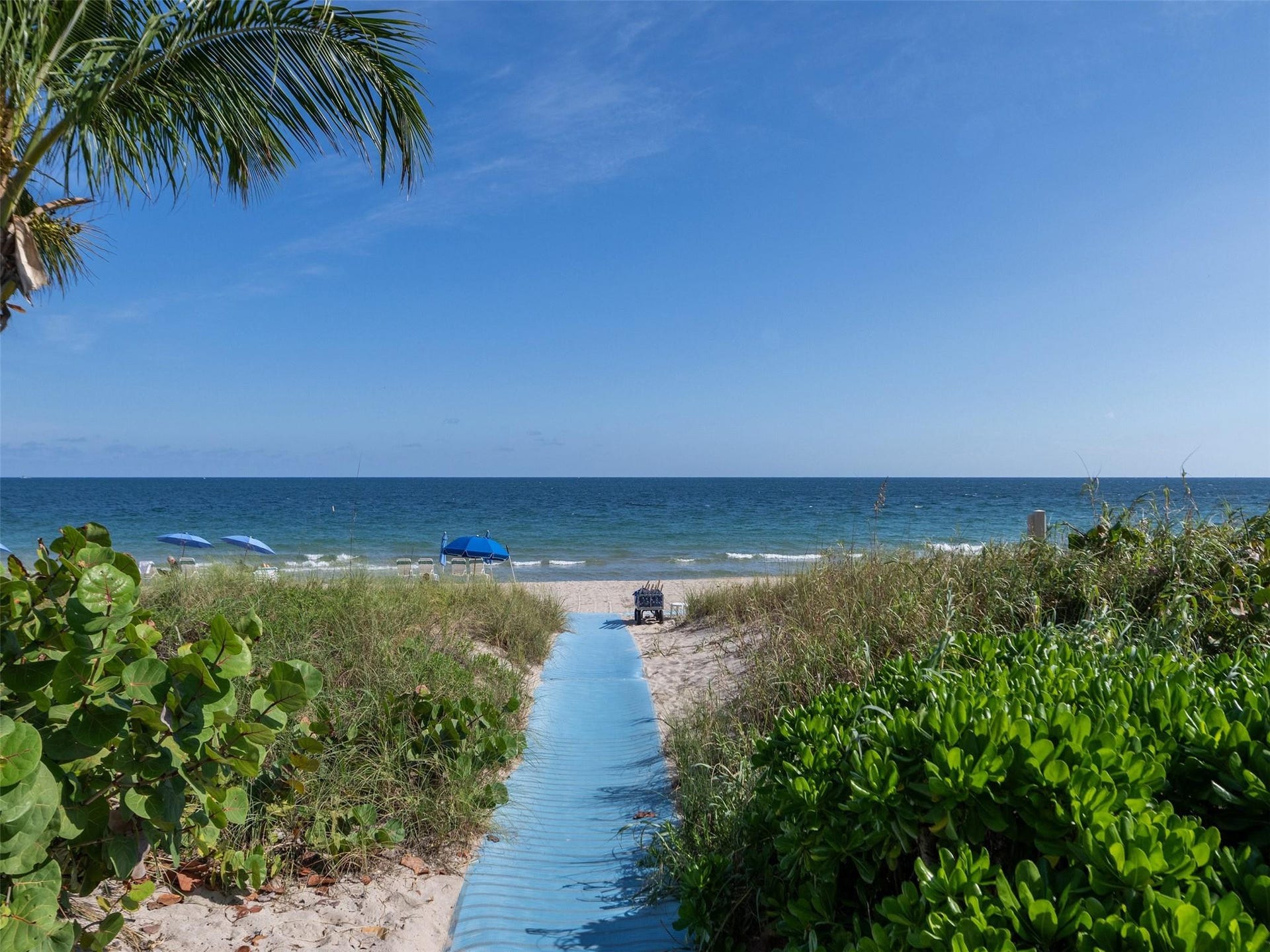3200 N Ocean Boulevard, #2505, Fort Lauderdale, FL 33308 Grounds