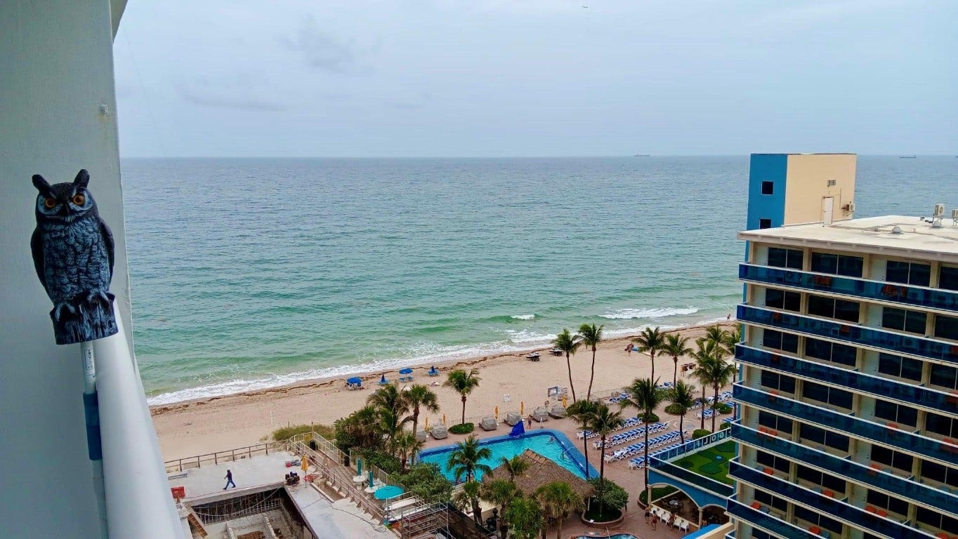 4100 Galt Ocean Drive, #1106, Fort Lauderdale, FL 33308