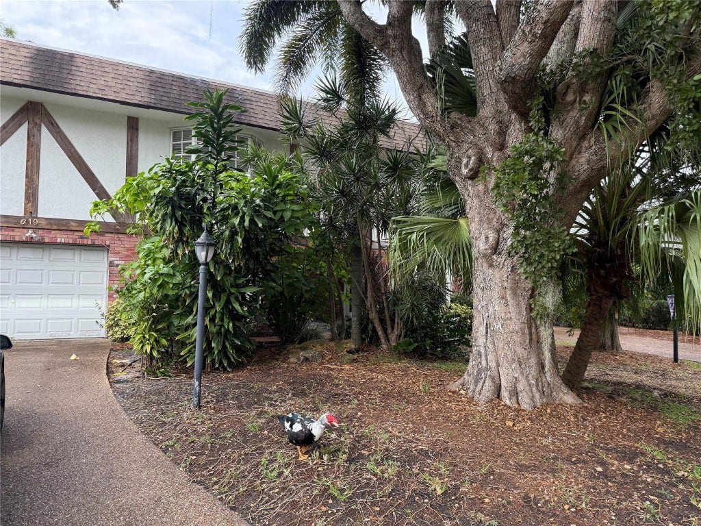 619 Kensington Place, Wilton Manors, Wilton Manors, FL 33305 619 Kensington Place, Wilton Manors, Wilton Manors, FL 33305