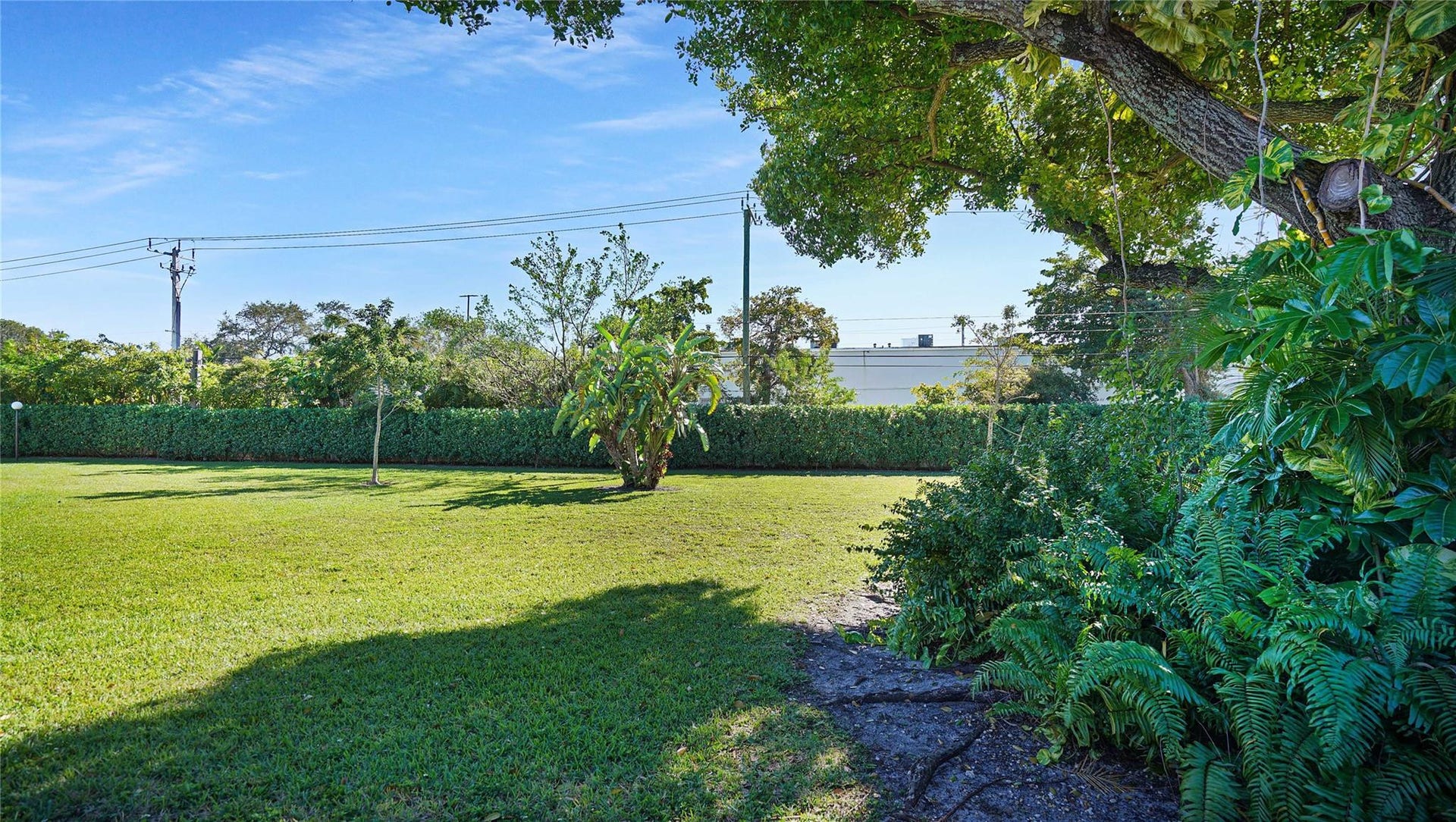 2780 S Oakland Forest Drive, #1603, Oakland Park, FL 33309