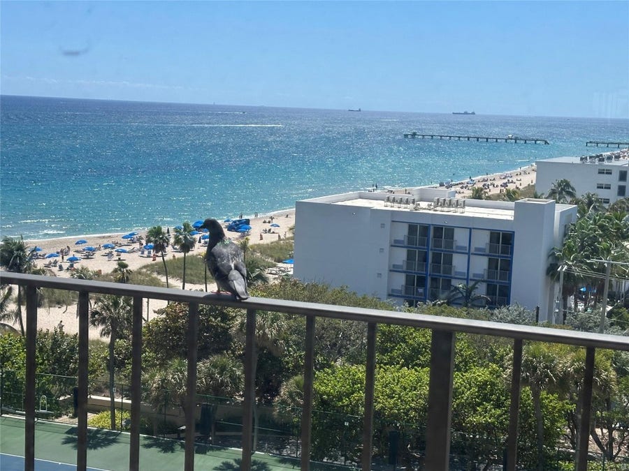 Property photo for 4900 N Ocean Boulevard, #1003, Lauderdale By The Sea, FL