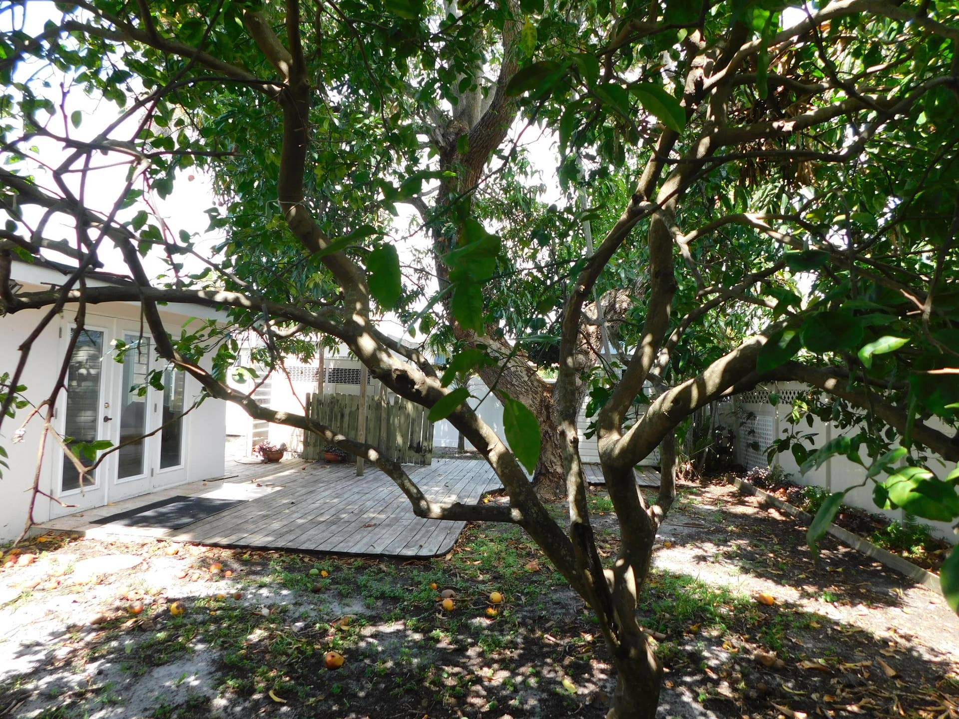 2580 SE 5th Court, Pompano Beach, FL 33062 DSCN4625