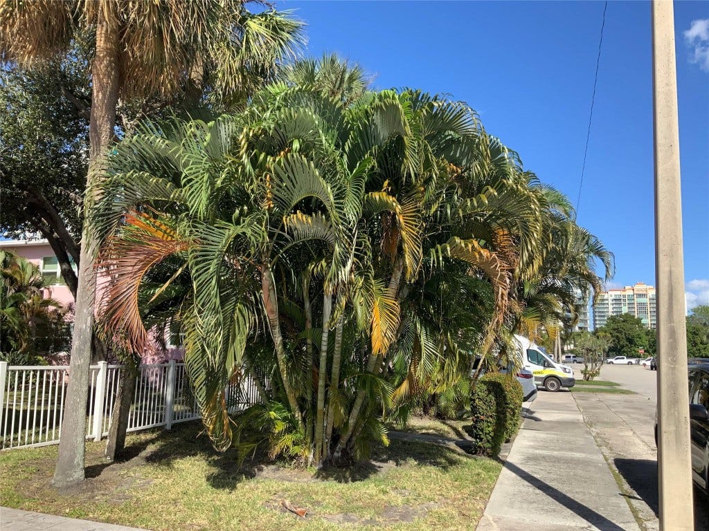 700 Bayshore Drive, #13, Fort Lauderdale, FL 33304 700 Bayshore Drive, #13, Fort Lauderdale, FL 33304