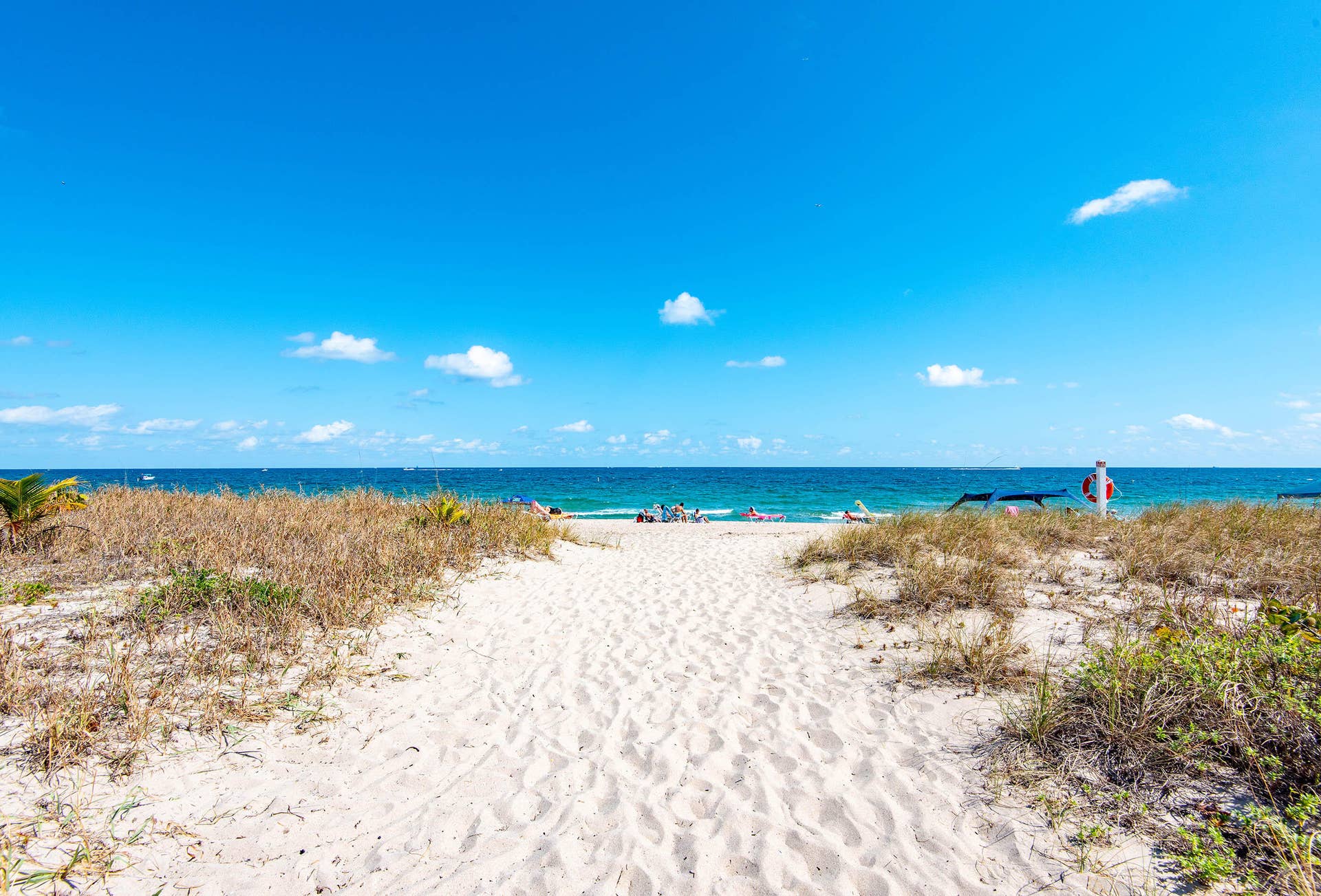 5200 N Ocean Boulevard, #1503, Lauderdale By The Sea, FL 33308 1