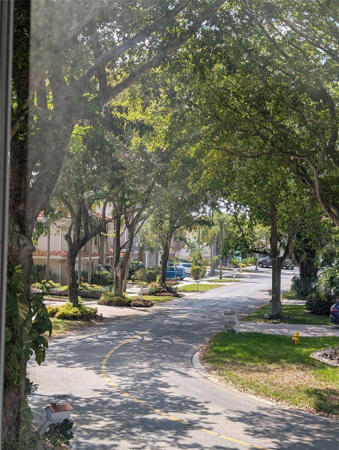 11240 Reveille Road, Cooper City, FL 33026 So calming to drive down your street with it being shaded by the trees.