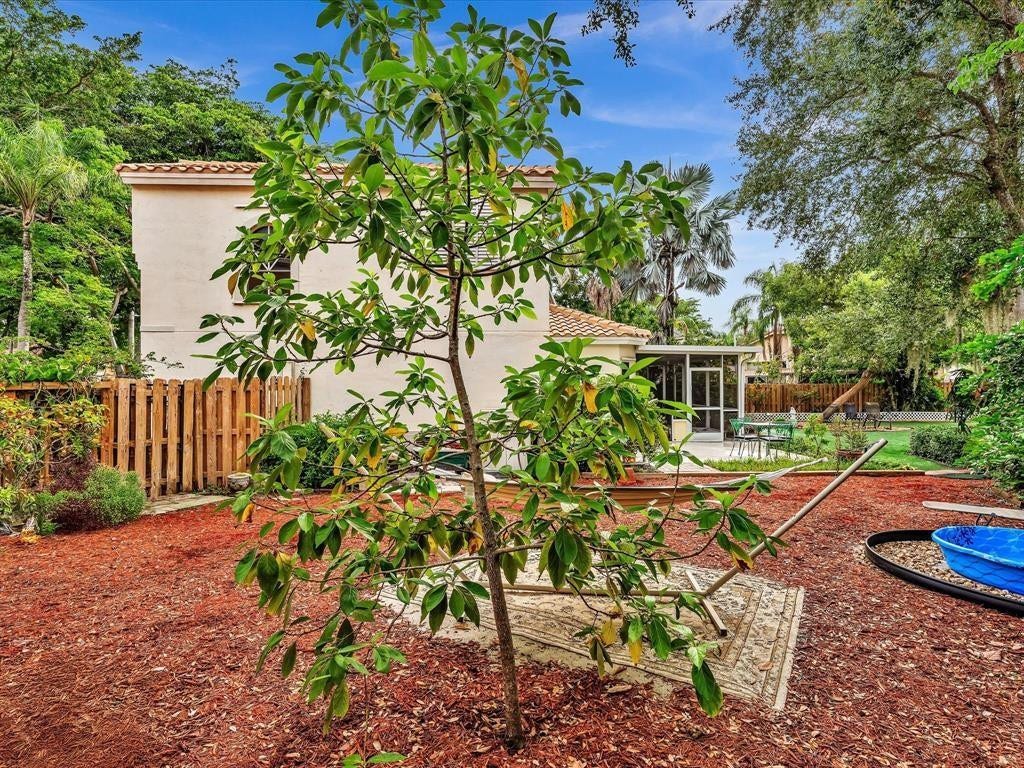 11240 Reveille Road, Cooper City, FL 33026 Avocado tree we planted.
