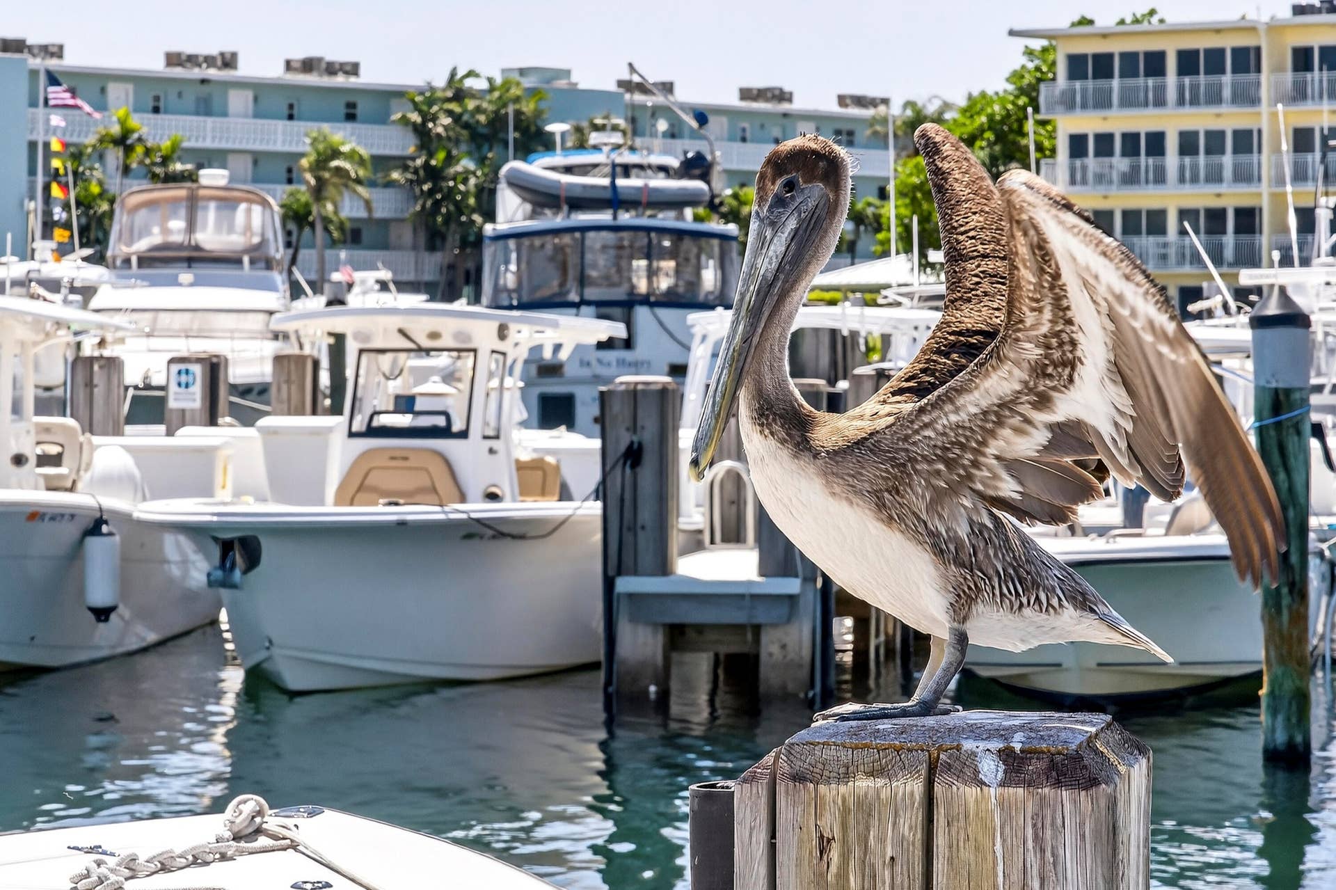Just a short 34 minute walk from the home, the marina offers slip rentals, boat club access, waterfront dining, and quick Intracoastal and Hillsboro Inlet access.