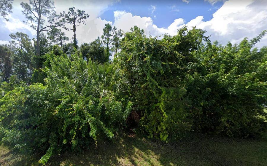 Property photo for 0 Victory Palm Drive, Edgewater, FL