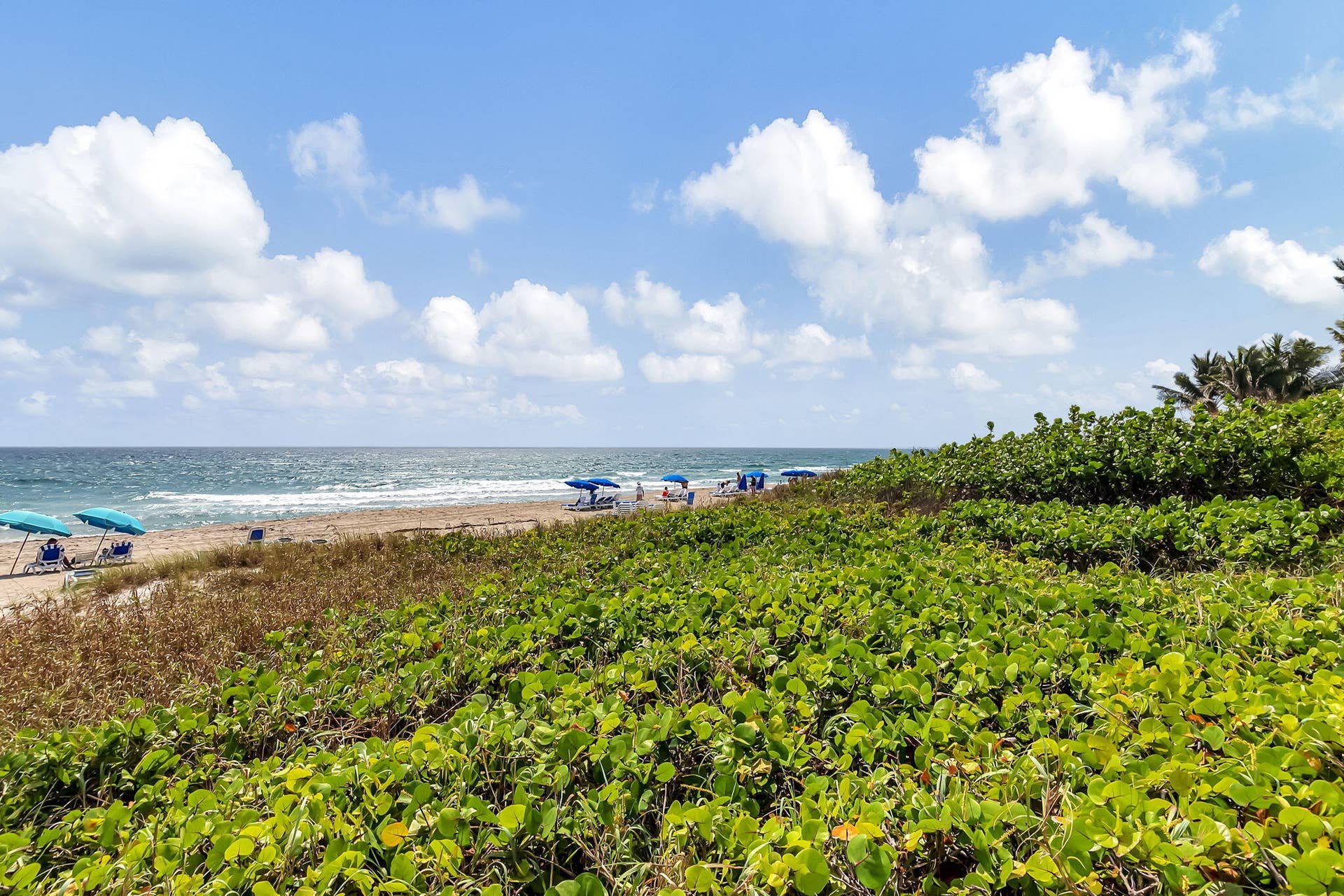 2727 S Ocean Boulevard, #403, Highland Beach, FL 33487 2727 S Ocean Boulevard, #403, Highland Beach, FL 33487