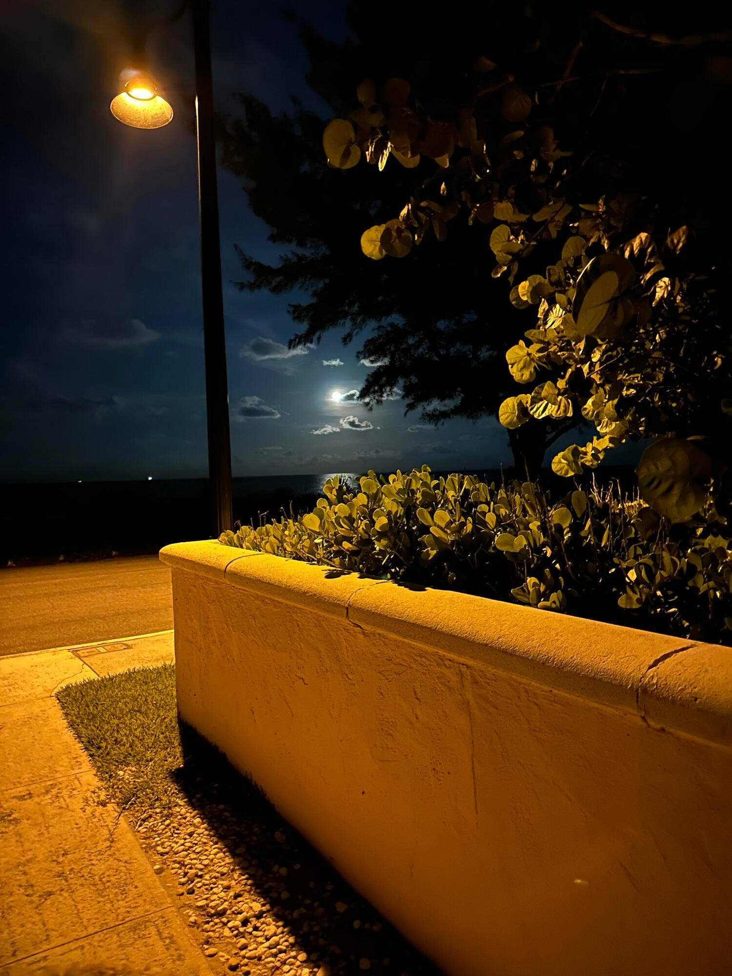 200 N Ocean Boulevard, #1, Palm Beach, FL 33480 N Ocean Blvd View