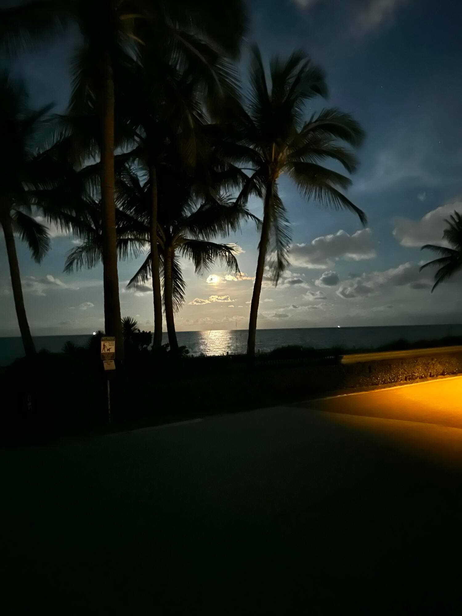 200 N Ocean Boulevard, #1, Palm Beach, FL 33480 N Ocean Blvd View