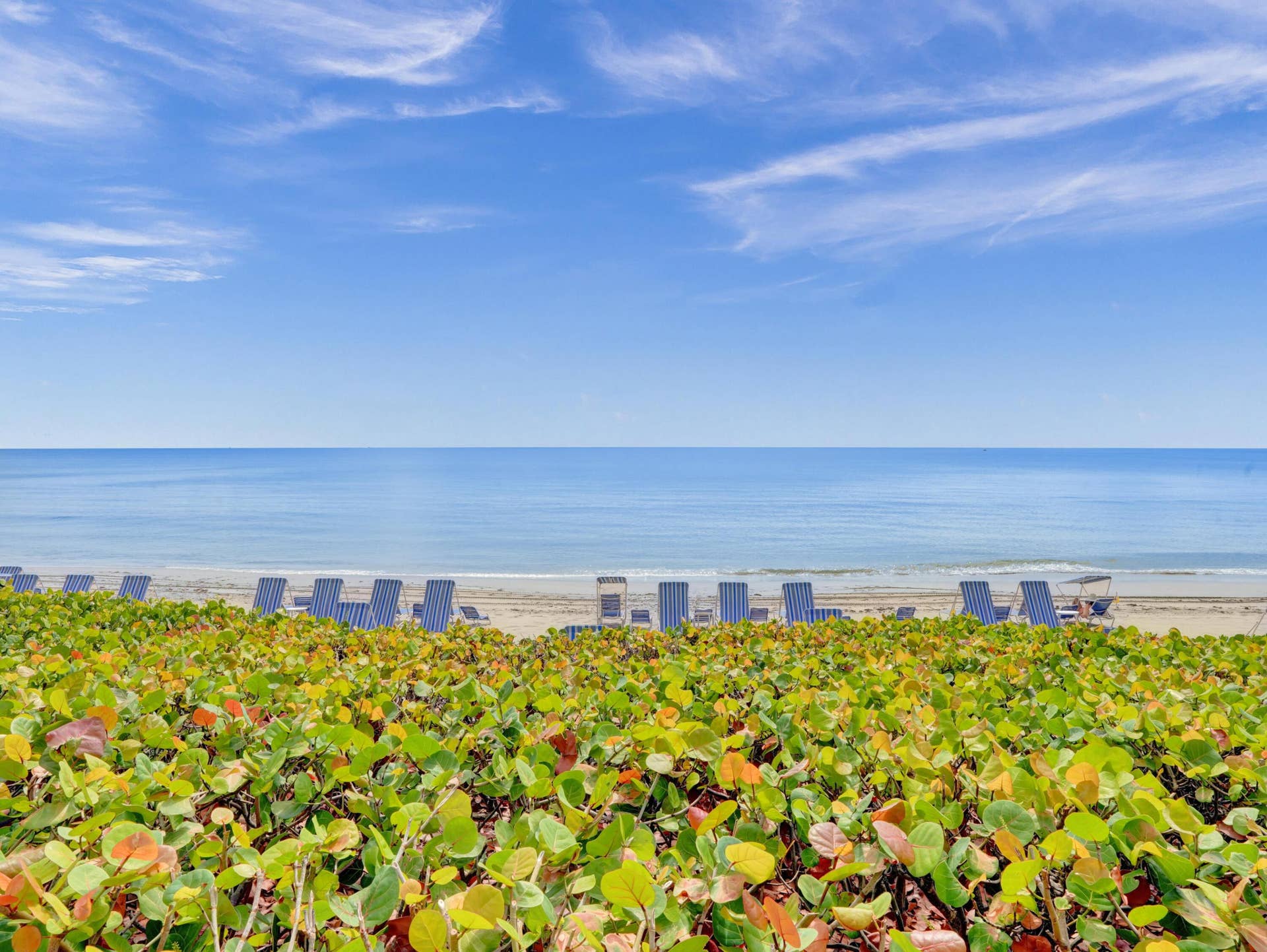 TOSCANA BEACH