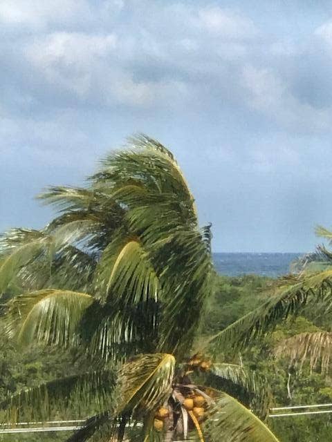 Property photo for 275 Palm Avenue, #C503, Jupiter, FL