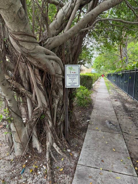 1260 Manor Drive, Riviera Beach, Riviera Beach, FL 33404 unnamed (1)