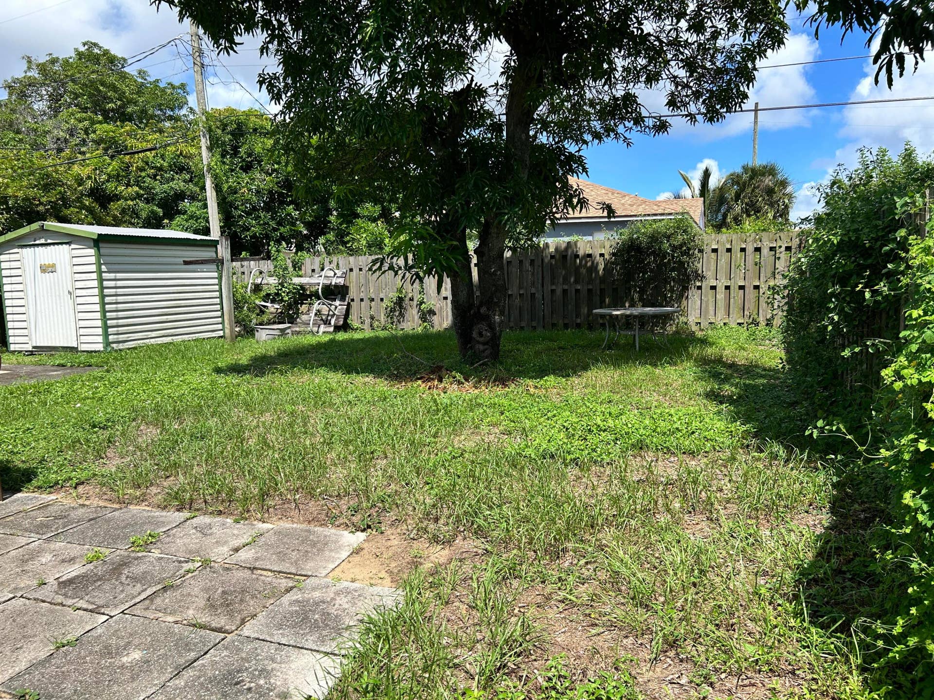 Back yard (2)