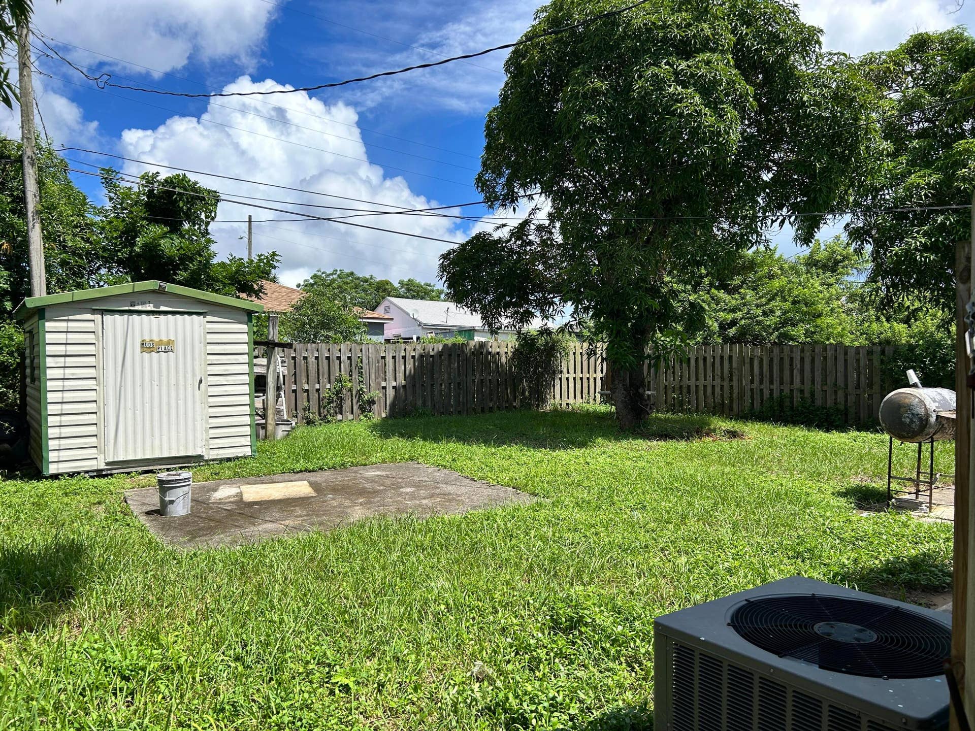Back yard
