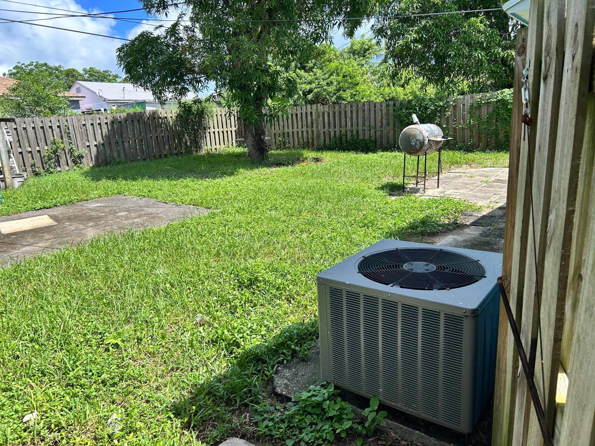 back yard (3)