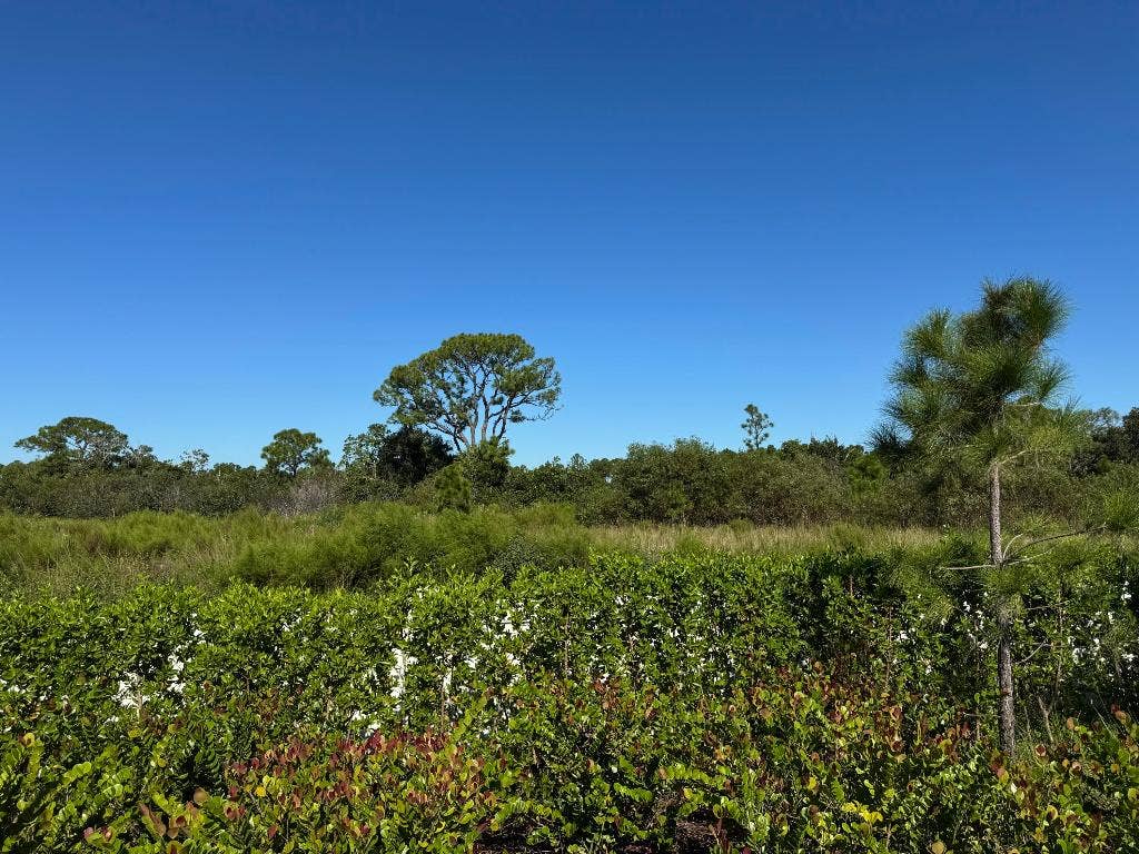 13105 Monte Rosa Court, Palm Beach Gardens, Palm Beach Gardens, FL 33412 13105 Monte Rosa Court, Palm Beach Gardens, Palm Beach Gardens, FL 33412