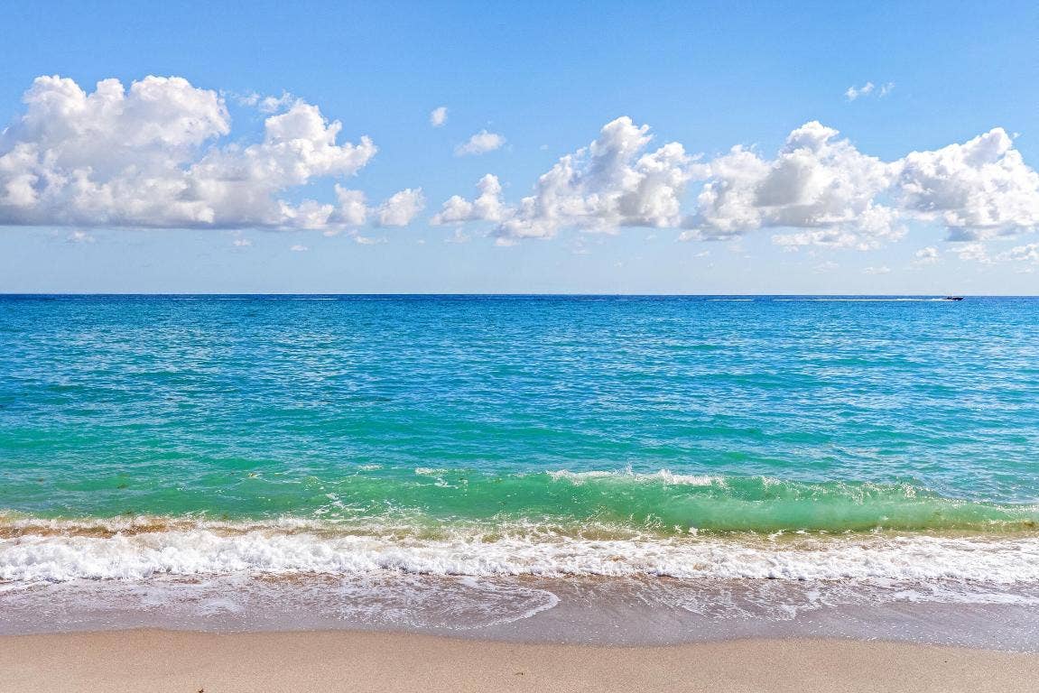 1620 S Ocean Boulevard, Palm Beach, FL 33480 1620 S Ocean Boulevard, Palm Beach, FL 33480