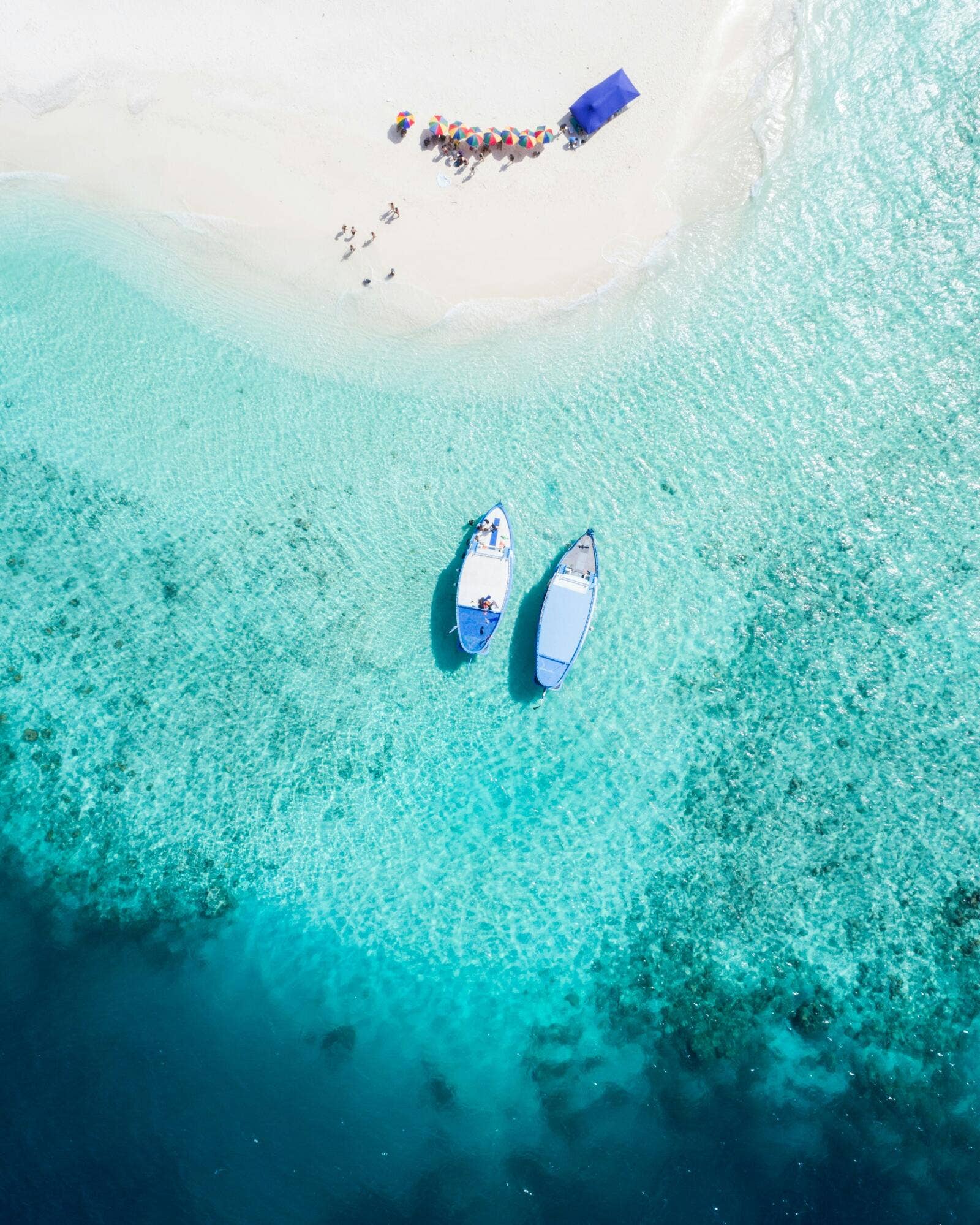 SoFl Lifestyle Boats