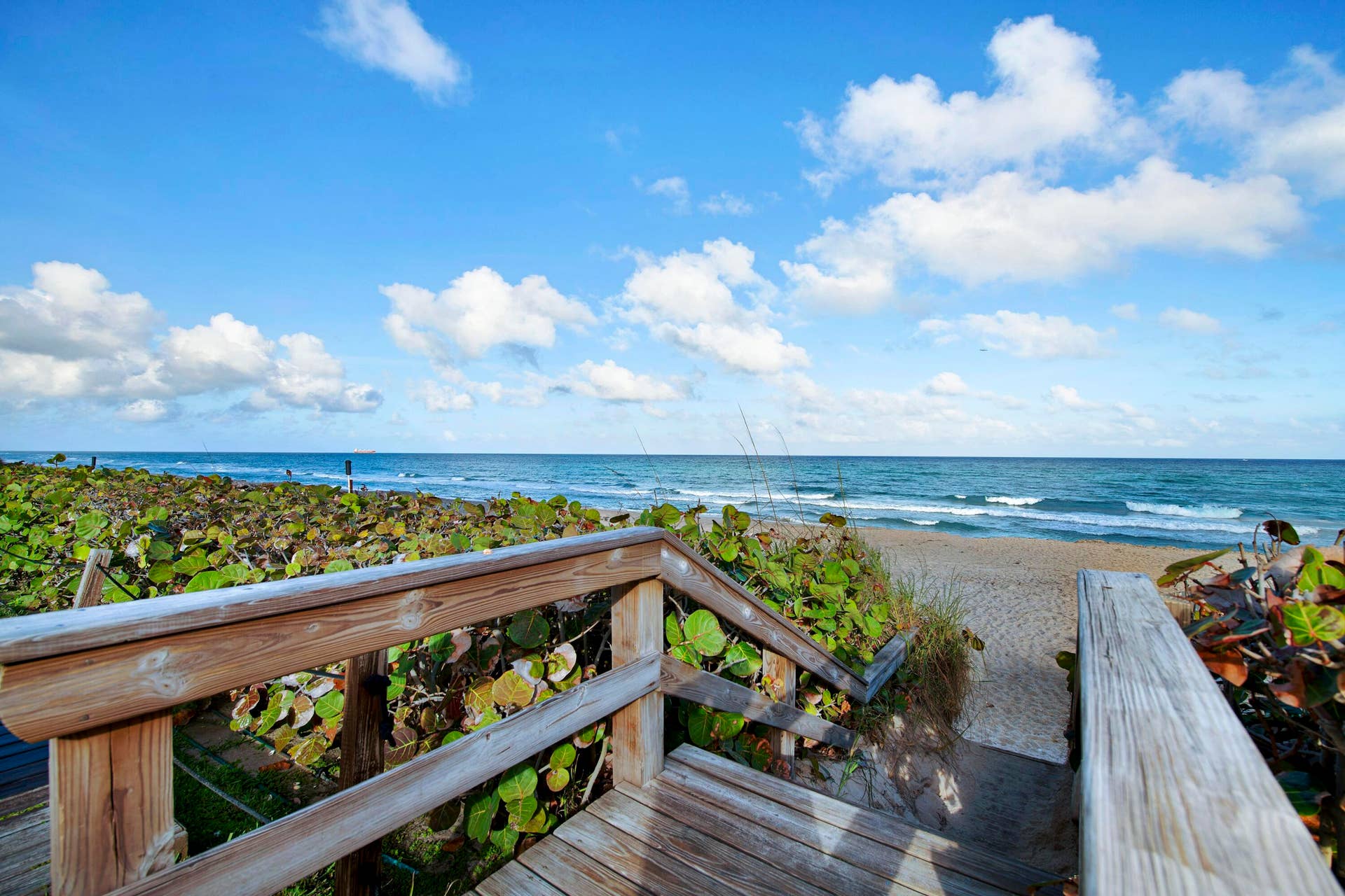 4200 N Ocean Drive, #1-1705, Singer Island, FL 33404 DSC_5416