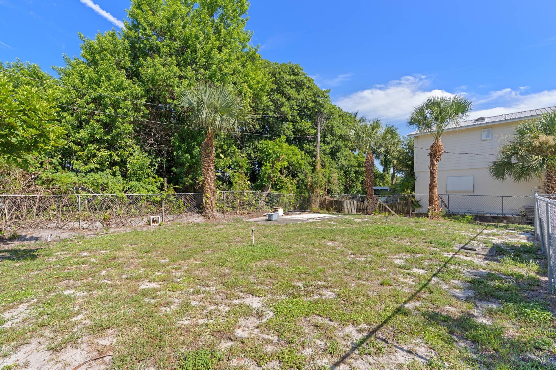 Backyard