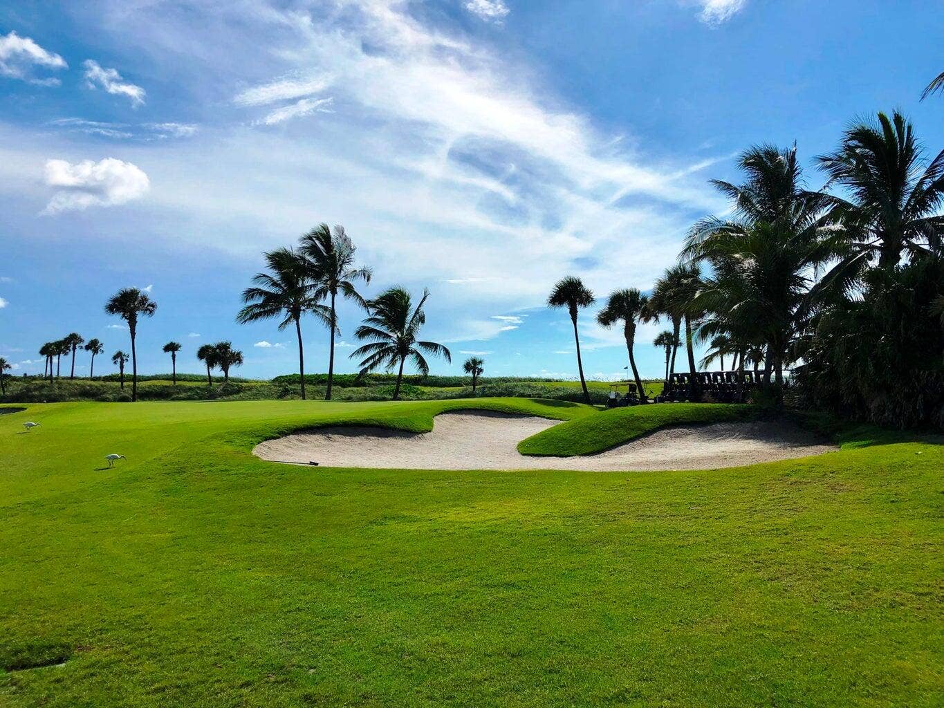 Par 3