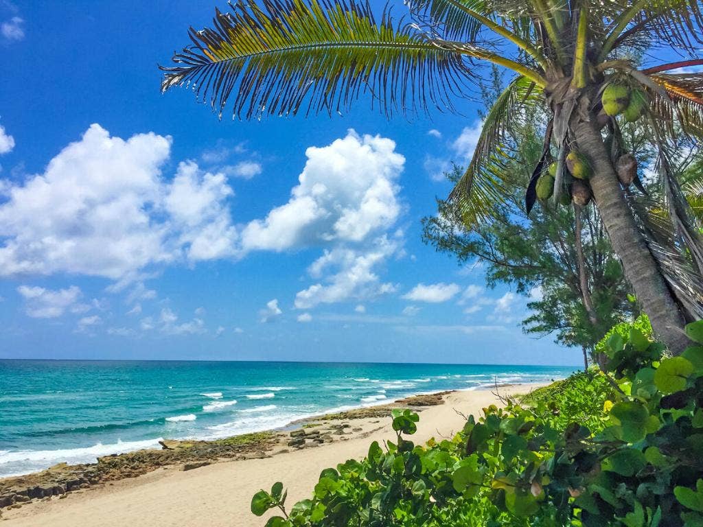 12423 Banyan Road, North Palm Beach, FL 33408 12423 Banyan Road, North Palm Beach, FL 33408