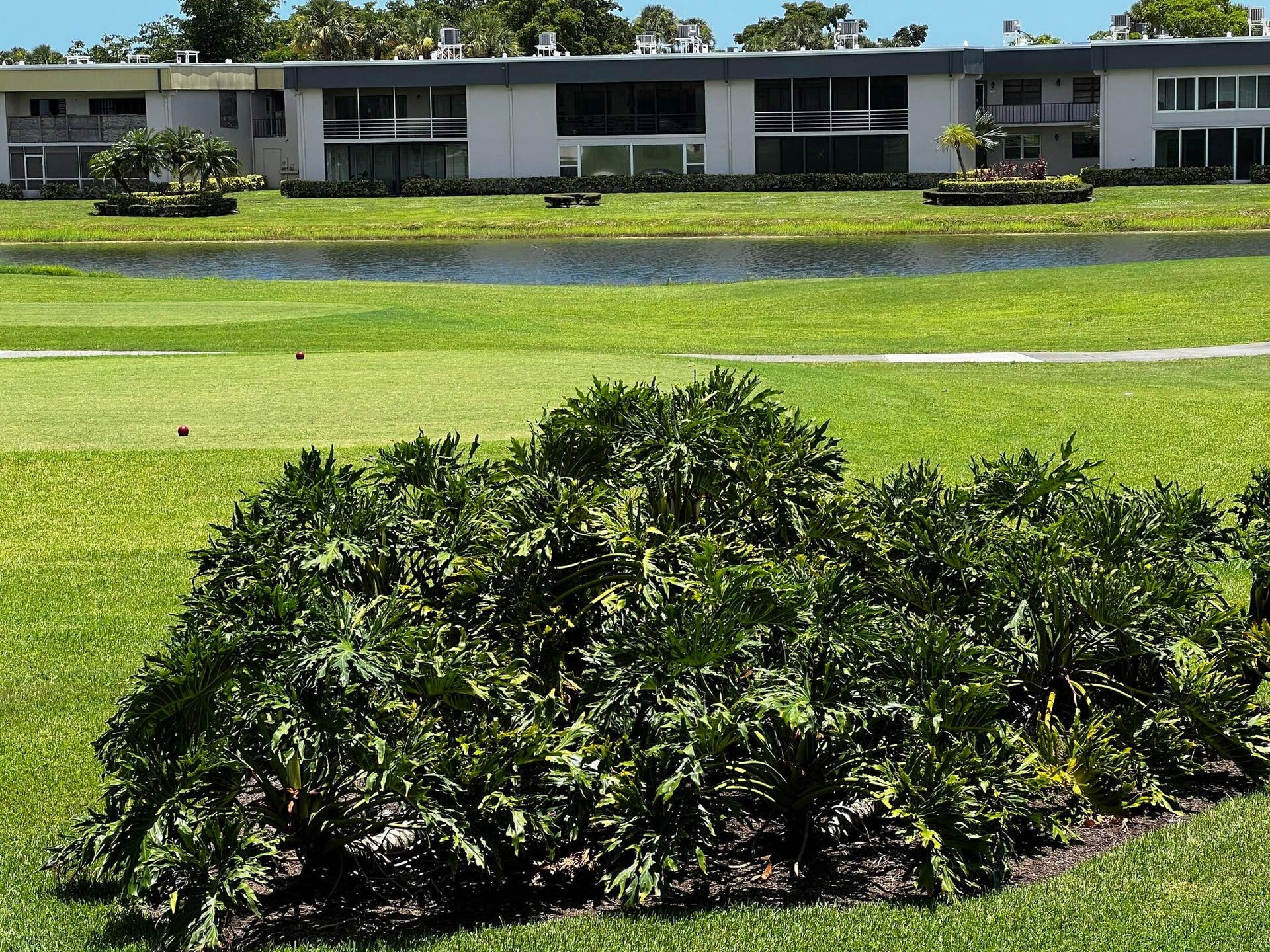 185 Normandy, #D, Delray Beach, Delray Beach, FL 33484 185 Normandy D- View